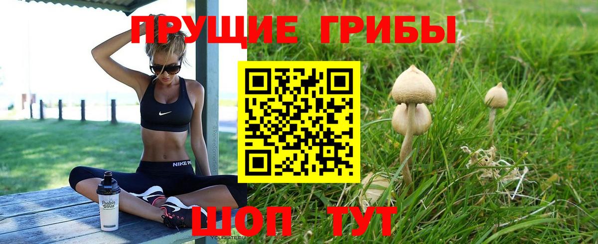 Галлюциногенные грибы Psilocybe Вятские Поляны