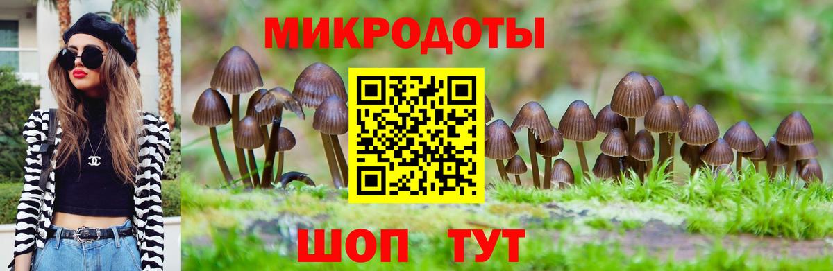 Галлюциногенные грибы Magic Shrooms  Вход с VPN  Вятские Поляны 